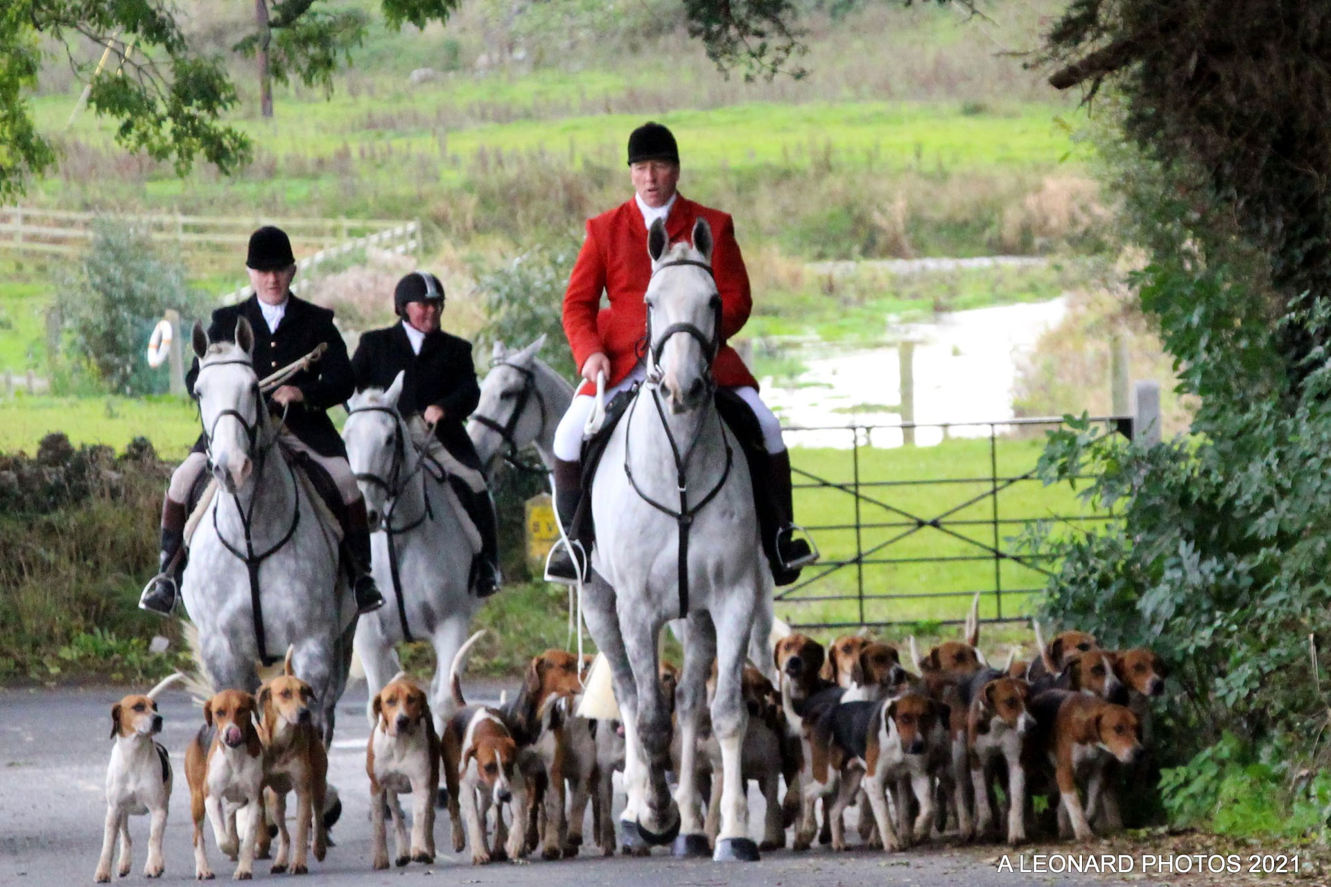 County Galway Hunt – The website of the County Galway Hunt, ‘The Blazers’.